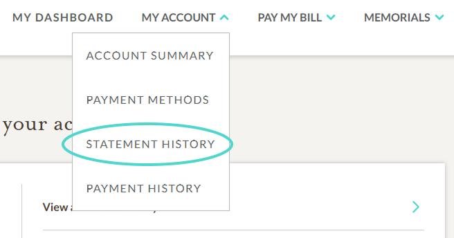 statement history navigation item